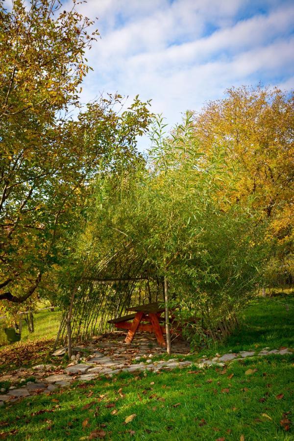 Villa Casa Wezly Măgura Esterno foto